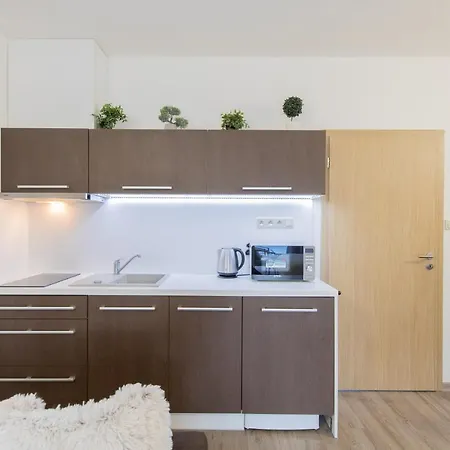 Appartement Sophia 4 S Terasou Velké Losiny
